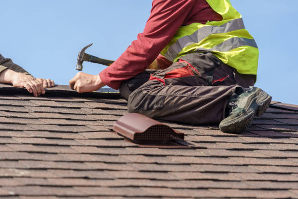 Best Shingle Roofing Installation  in Napavine, WA