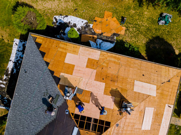Best Tile Roofing Contractor  in Napavine, WA