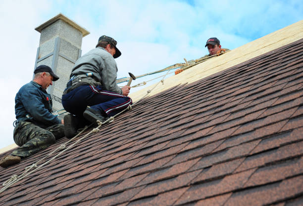 Best Commercial Roofing Services  in Napavine, WA